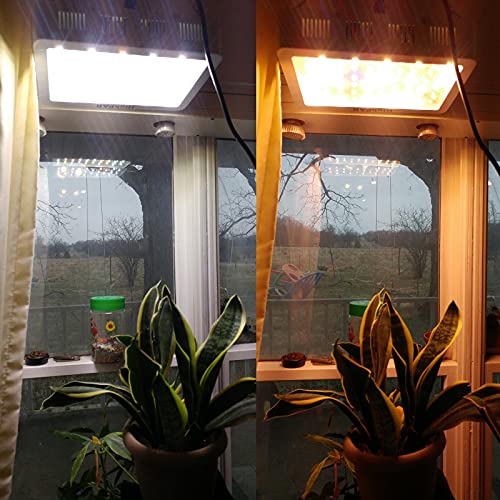 600W LED Grow Light, Full Spectrum Growing Lights for Indoor Plant...