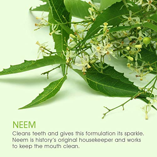 Himalaya Botanique Neem & Pomegranate Toothpaste, Original Formula...