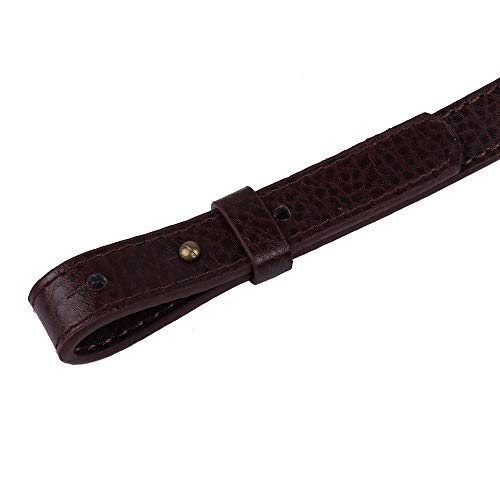HinLot Pack of 2 Adjustable Shoulder Bag Strap, Classic PU Leather...
