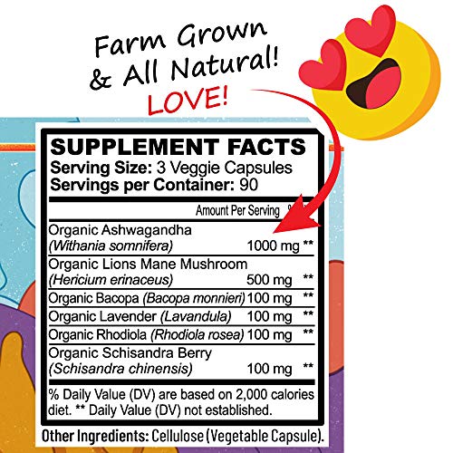 All Natural Stress Support - Ashwagandha Root, Lions Mane & More ...