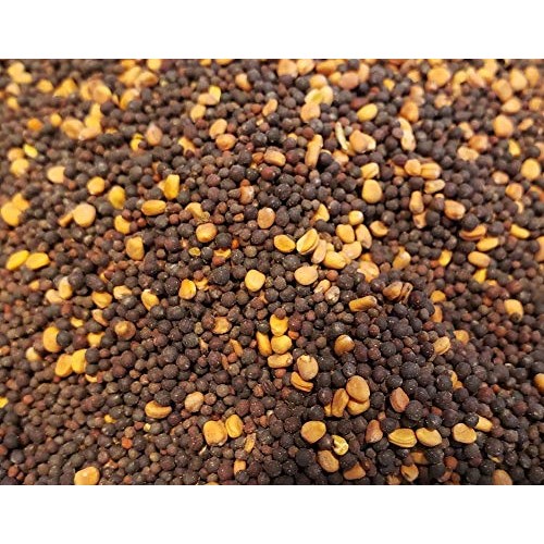 Brassica Blend Food Plot Mix Perfect Mix of Daikon Radish, Purple ...