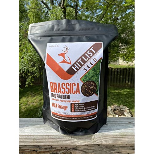 Brassica Blend Food Plot Mix Perfect Mix of Daikon Radish, Purple ...
