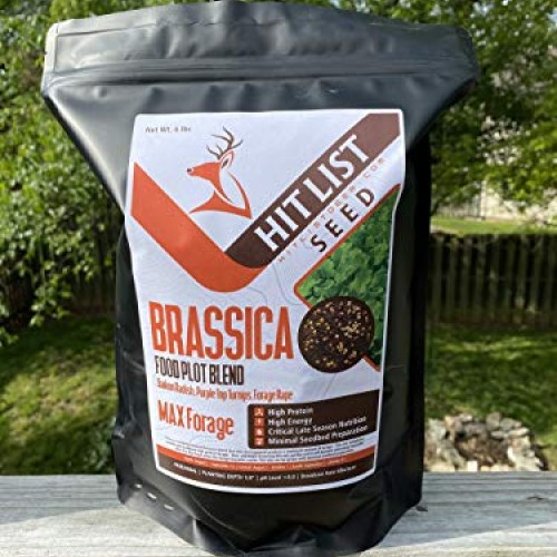 Brassica Blend Food Plot Mix Perfect Mix of Daikon Radish, Purple ...