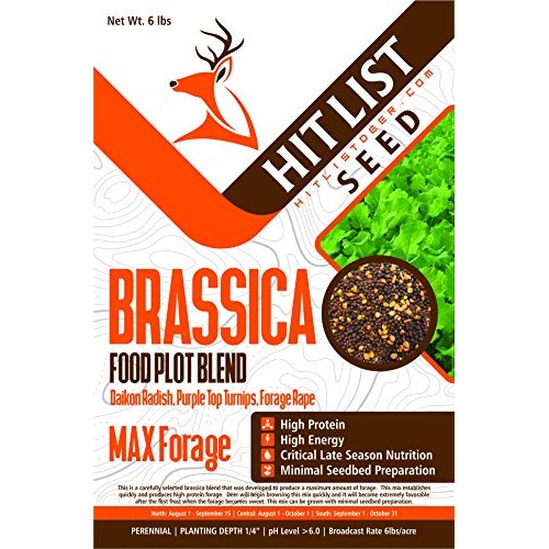 Brassica Blend Food Plot Mix Perfect Mix of Daikon Radish, Purple ...