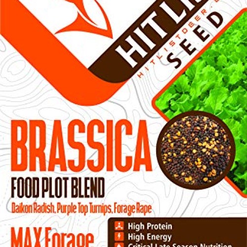 Brassica Blend Food Plot Mix Perfect Mix of Daikon Radish, Purple ...