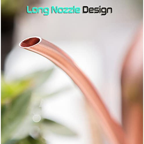 Watering Can Indoor Outdoor for Kids House Desk Office Plants and ...