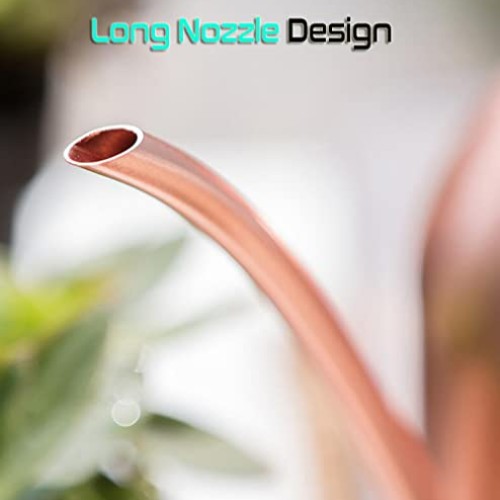 Watering Can Indoor Outdoor for Kids House Desk Office Plants and ...