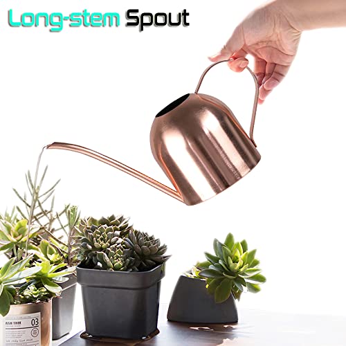 Watering Can Indoor Outdoor for Kids House Desk Office Plants and ...