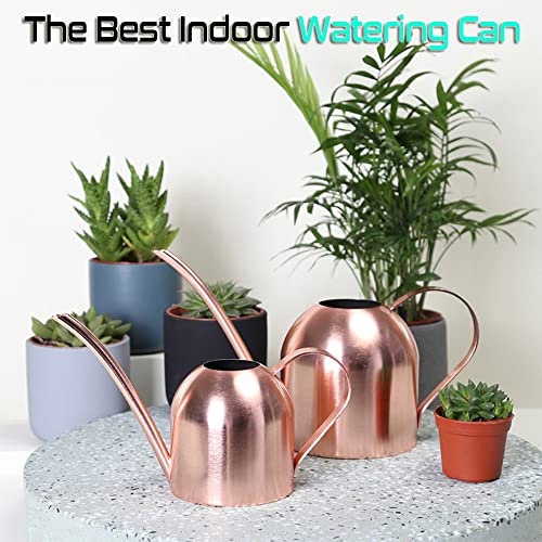 Watering Can Indoor Outdoor for Kids House Desk Office Plants and ...