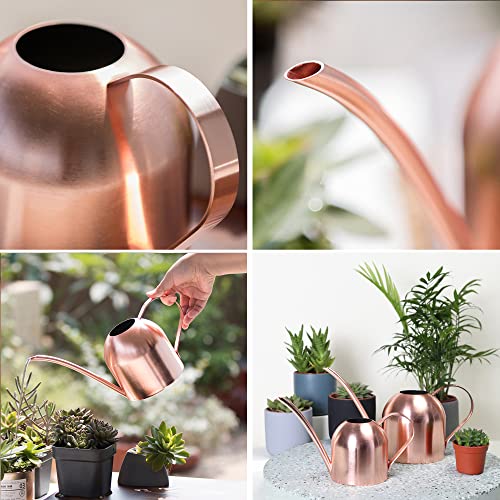 Watering Can Indoor Outdoor for Kids House Desk Office Plants and ...