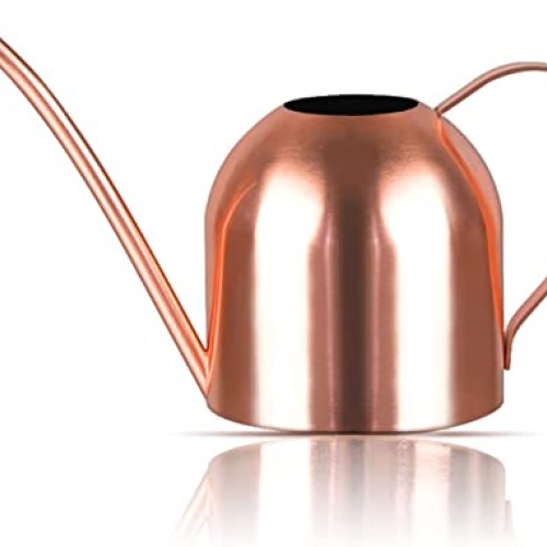 Watering Can Indoor Outdoor for Kids House Desk Office Plants and ...