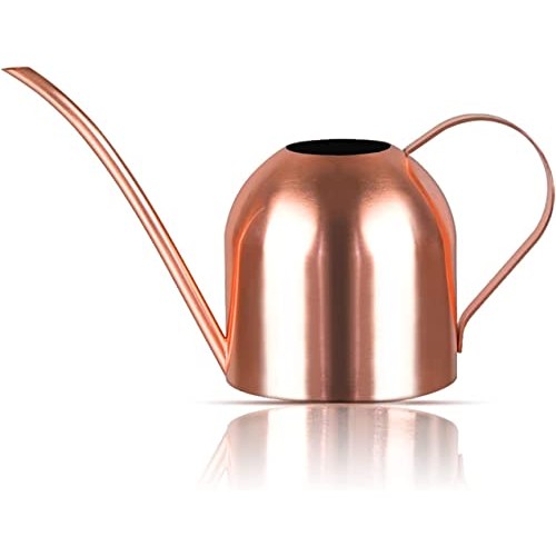 Watering Can Indoor Outdoor for Kids House Desk Office Plants and ...