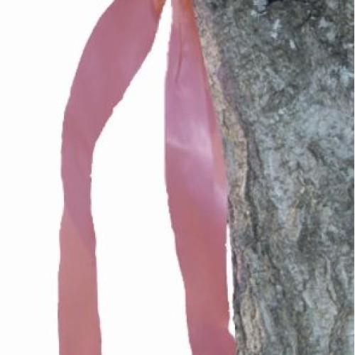 HME Products Trail Marking Ribbon, Orange