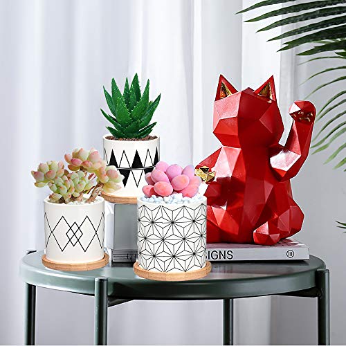 Succulent Pots 6 Pack,3 Inch Ceramic Planter with Drainage and Bam...