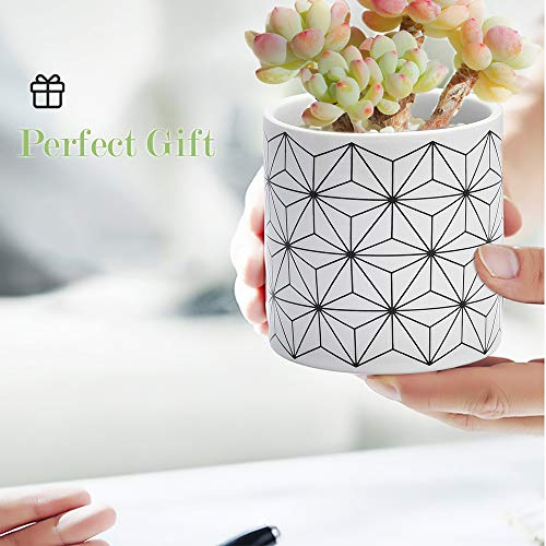 Succulent Pots 6 Pack,3 Inch Ceramic Planter with Drainage and Bam...
