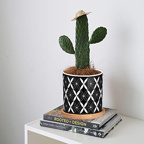 Succulent Pots 6 Pack,3 Inch Ceramic Planter with Drainage and Bam...