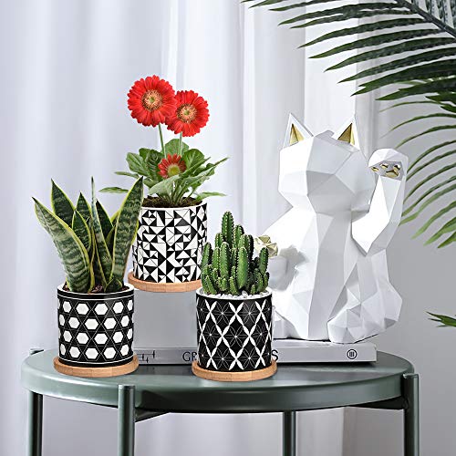 Succulent Pots 6 Pack,3 Inch Ceramic Planter with Drainage and Bam...