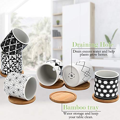 Succulent Pots 6 Pack,3 Inch Ceramic Planter with Drainage and Bam...