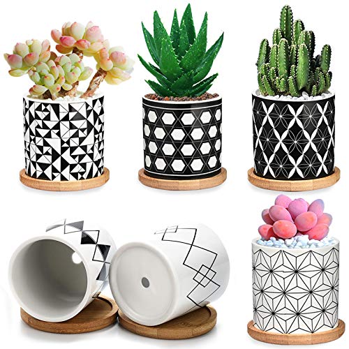 Succulent Pots 6 Pack,3 Inch Ceramic Planter with Drainage and Bam...