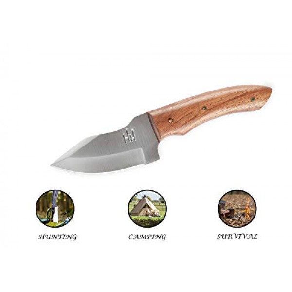 Hobby Hut HH-904 , 420C Stainless Steel 7.5 inch Fixed Blade Hunti...