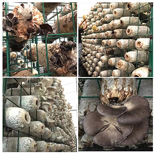 50-Pcs Mushroom Grow Bags Mushroom Spawn Bags, Extra Thick 6 Mil B...