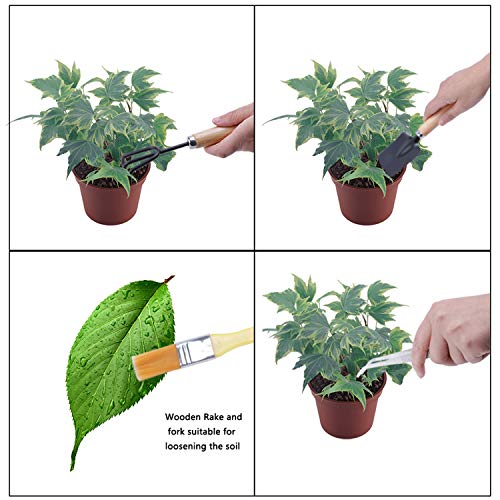 Hofumix Bonsai Tree Kit Bonzai Plant Tools Gardening Tools Set for...