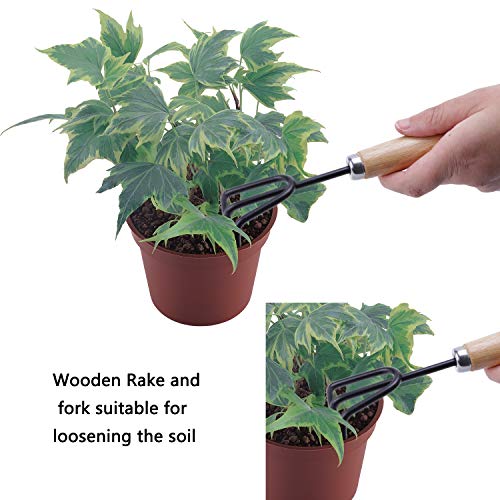 Hofumix Bonsai Tree Kit Bonzai Plant Tools Gardening Tools Set for...