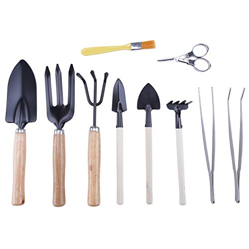 Hofumix Bonsai Tree Kit Bonzai Plant Tools Gardening Tools Set for...