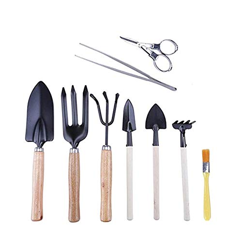 Hofumix Bonsai Tree Kit Bonzai Plant Tools Gardening Tools Set for...
