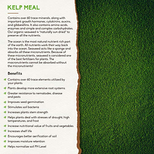 Wild Crafted Veganic Fertilizer/Soil Amendment by Holistic Bin for...