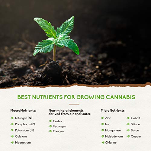 Wild Crafted Veganic Fertilizer/Soil Amendment by Holistic Bin for...