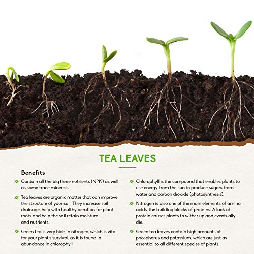 Wild Crafted Veganic Fertilizer/Soil Amendment by Holistic Bin for...