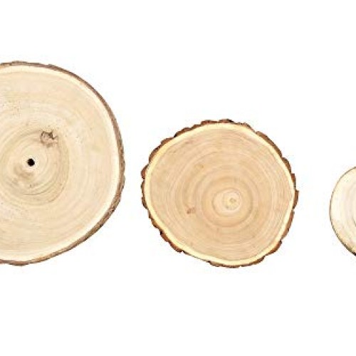 Natural Rustic Wood Slice 2 Pack – Round Wood Discs 7–9 Inches Dia...