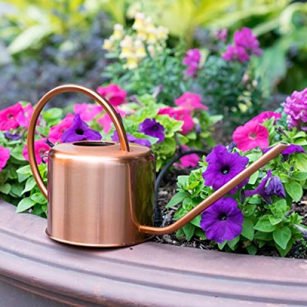 Homarden Copper Colored Watering Can for Outdoor and Indoor House ...