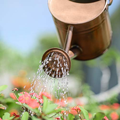 Homarden Half Gallon Copper Colored Metal Indoor Outdoor Plant Wat...