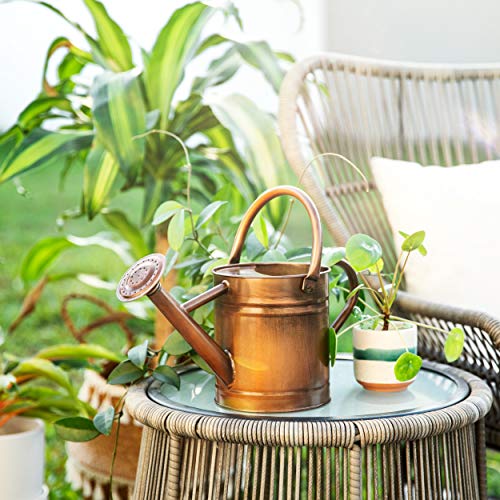 Homarden Half Gallon Copper Colored Metal Indoor Outdoor Plant Wat...