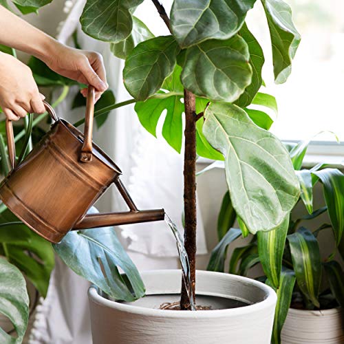 Homarden Half Gallon Copper Colored Metal Indoor Outdoor Plant Wat...
