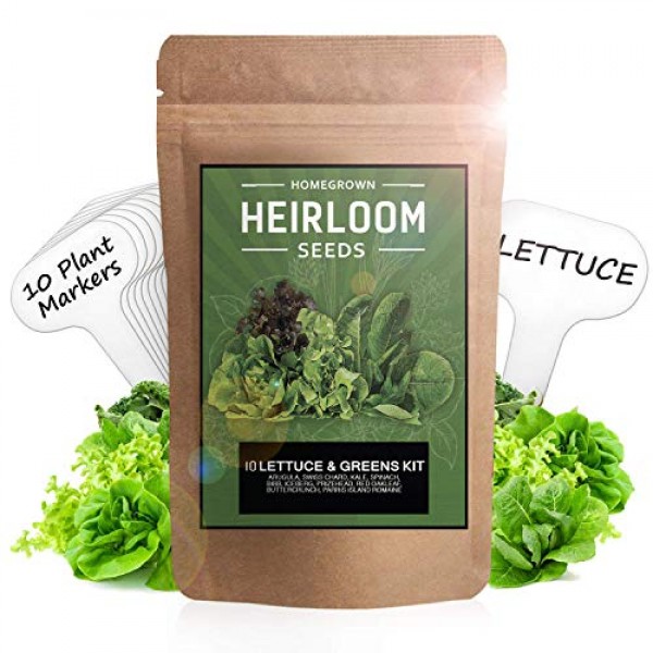 10 Heirloom Lettuce and Leafy Greens Seeds - 1500 Seeds - Non Gmo ...