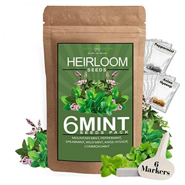 6 Mint Seeds Garden Pack - Mountain Mint, Spearmint, Peppermint, W...