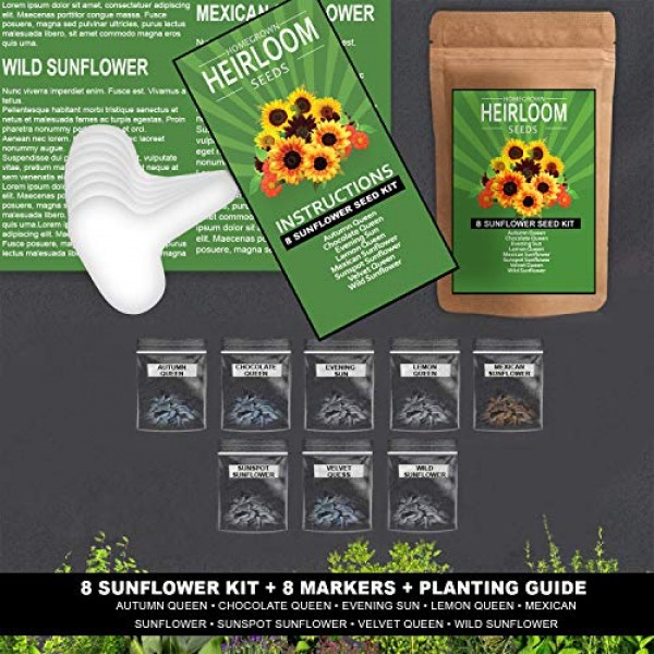 8 Varieties Sunflower Seeds for Planting, 1000 Seeds - Autumn Beau...