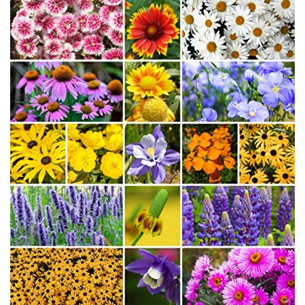 Wildflower Seeds - Flower Seed Pack 17 Variety - Perennial Flowe...
