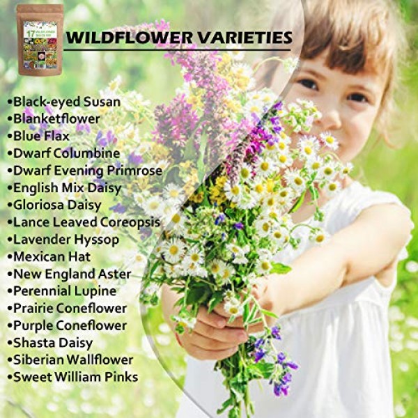 Wildflower Seeds - Flower Seed Pack [17 Variety] - Perennial Flowe...