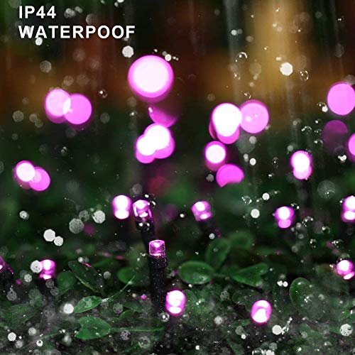 Home Lighting 66ft Christmas Decorative Mini Lights, 200 LED Green...