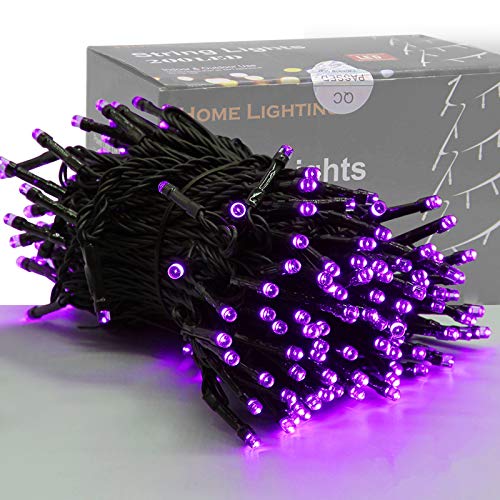Home Lighting 66ft Christmas Decorative Mini Lights, 200 LED Green...