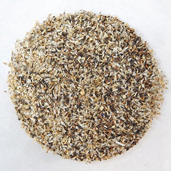 Colorado Wildflower Seed Mix, 1/2 lb.