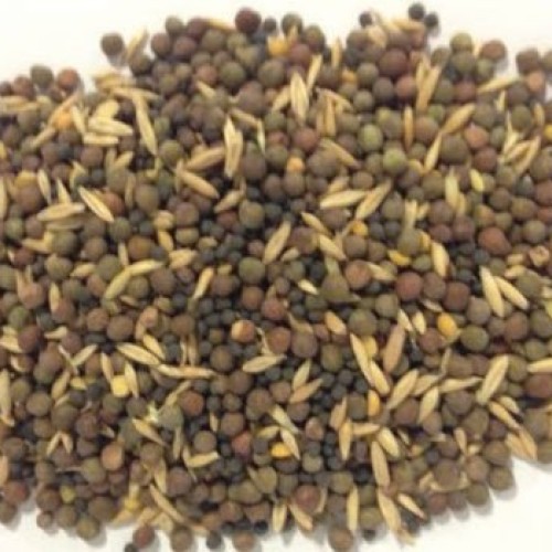 Spring Cover Crop Seed Mix, 5 Lbs.