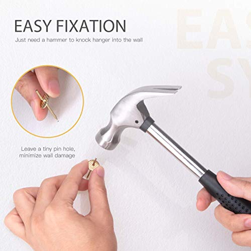 Hommie 50PCS Picture Hangers with Different Sizes，Iron Alloy Nail...