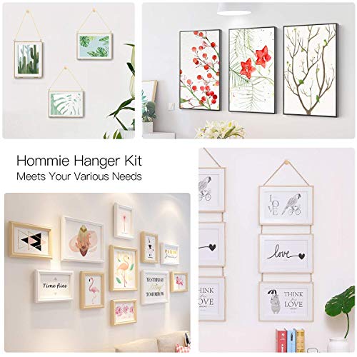 Hommie 50PCS Picture Hangers with Different Sizes，Iron Alloy Nail...
