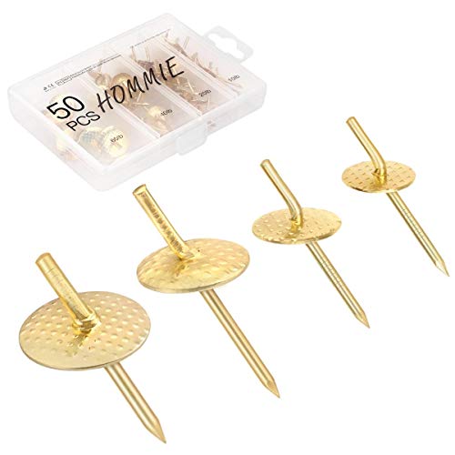 Hommie 50PCS Picture Hangers with Different Sizes，Iron Alloy Nail...