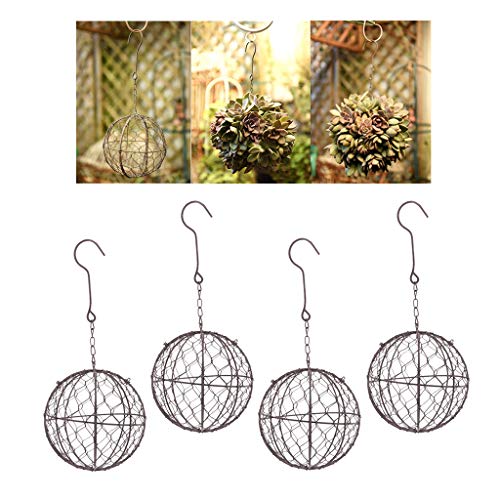 homozy 4Pcs Rustic Ball Metal Cactus Planter Wire Wreath Frame Suc...